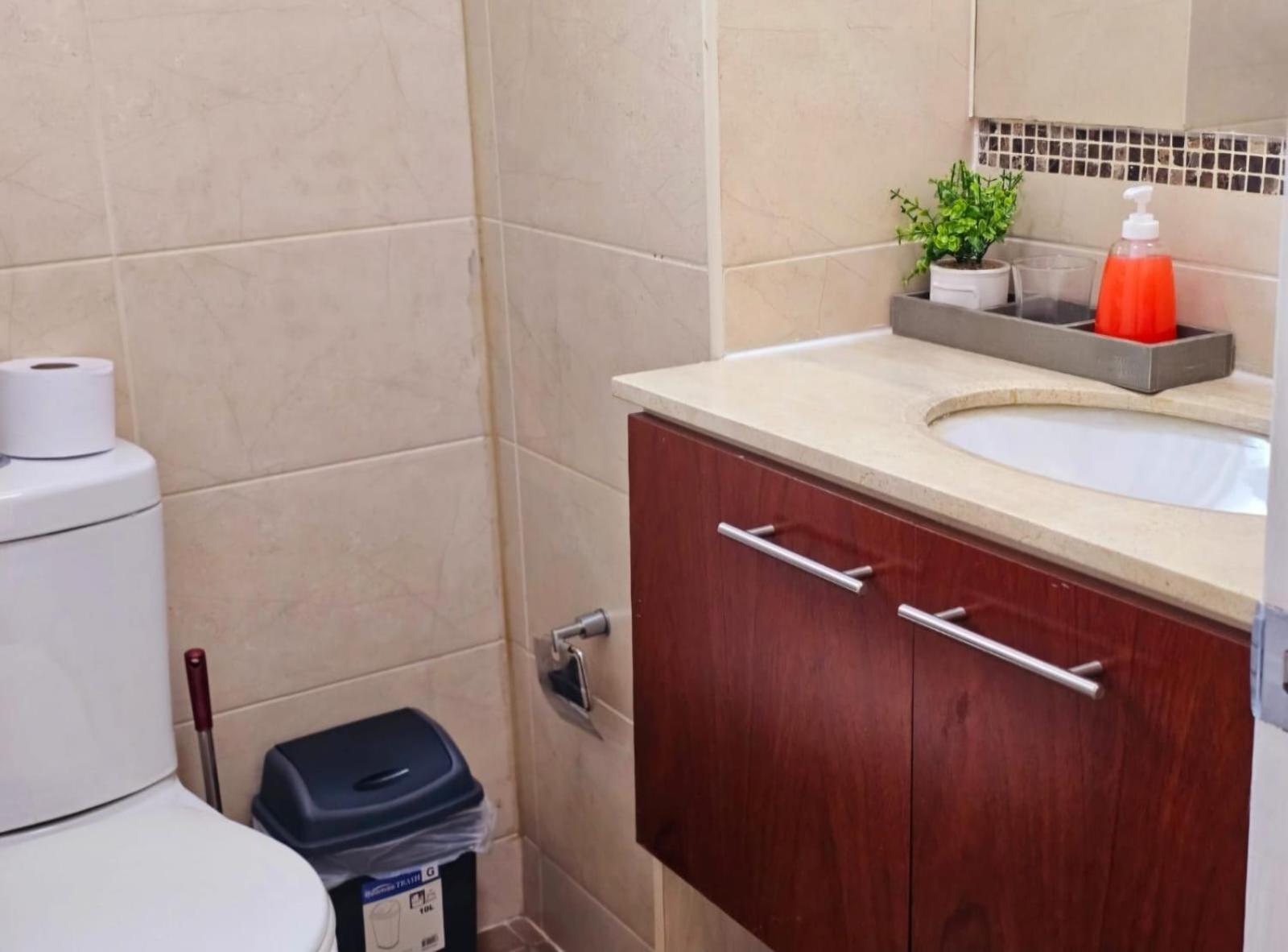Apart Hotel Suagon Suites Santiago Centro Экстерьер фото